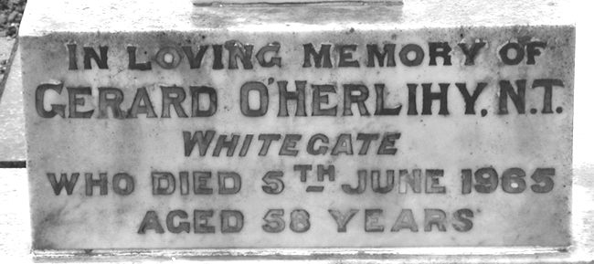 O'Herlihy, N.T., Gerard.jpg 113.3K